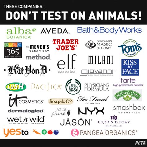 cruelty free makeup company.